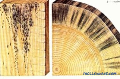 Protezione delle strutture in legno da decomposizione e funghi: raccomandazioni