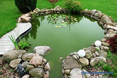 Pond fai da te - come fare uno stagno nel sito (+ foto)