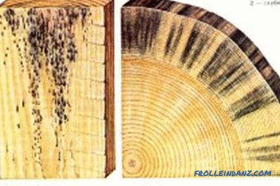Impregnazione con cera di legno: concetto e tecnologia