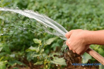 Pompa per l'irrigazione dalla canna