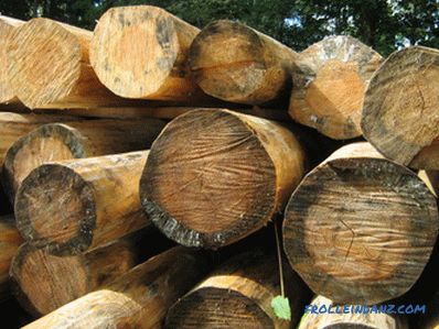 Come trattare il legno da muffe e funghi?